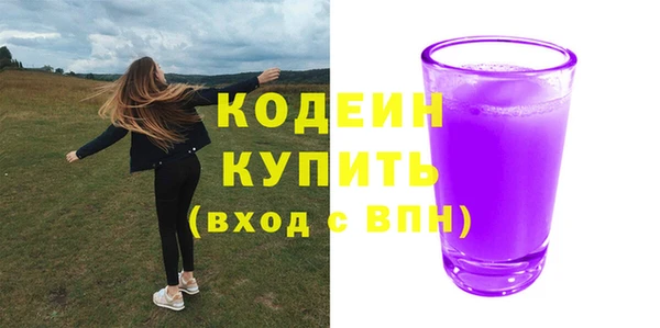 индика Бородино